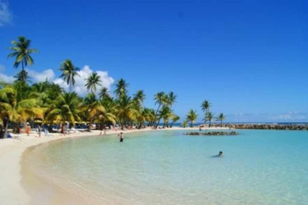 Gîte Cajou dans Domaine Tropical ventilé à Sainte-Anne Extérieur photo