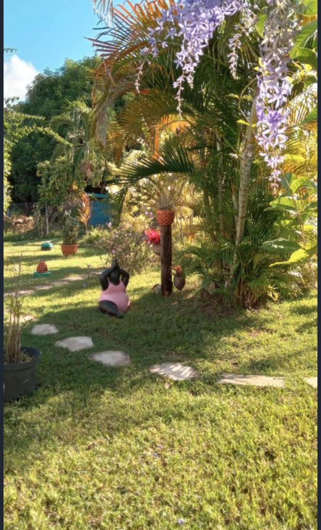 Gîte Cajou dans Domaine Tropical ventilé à Sainte-Anne Extérieur photo