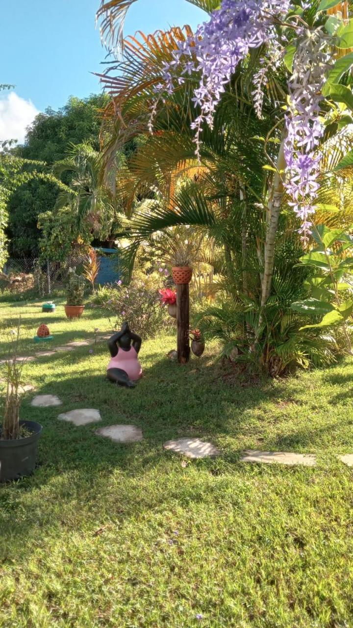 Gîte Cajou dans Domaine Tropical ventilé à Sainte-Anne Extérieur photo